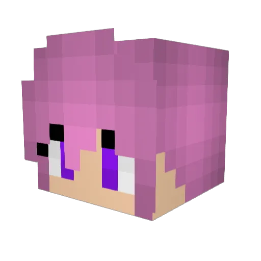 Shubear88 Minecraft avatar head, 3D render