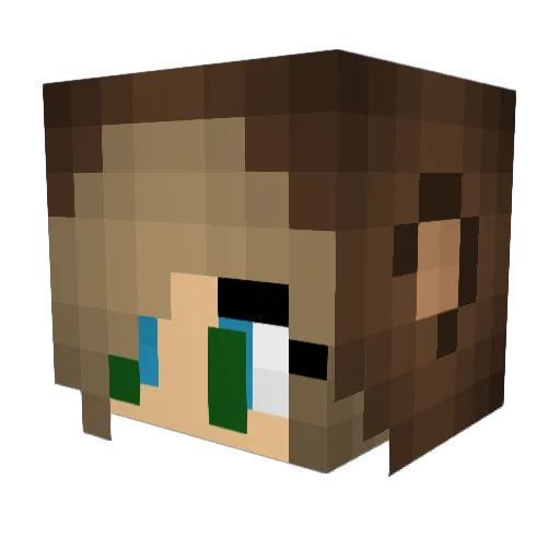 Shud007 Minecraft avatar head, 3D render