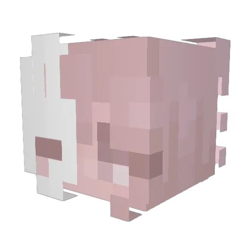 Shuelly Minecraft avatar head, 3D render