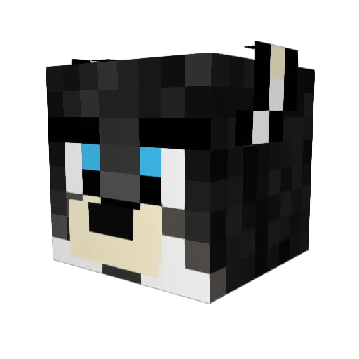 ShufflinShiro Minecraft avatar head, 3D render