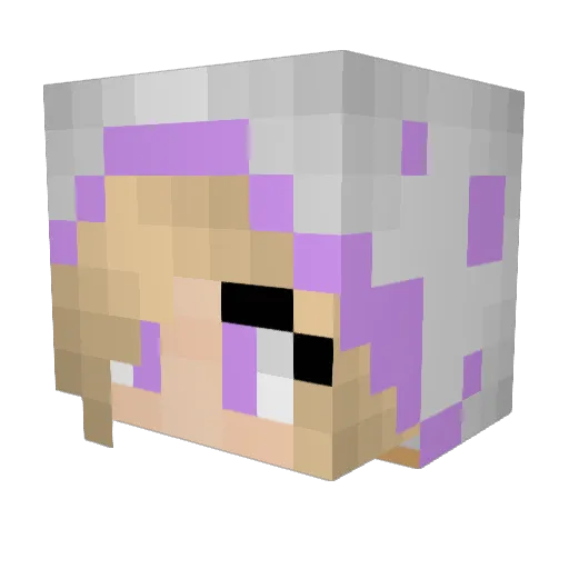 Shugana Minecraft avatar head, 3D render
