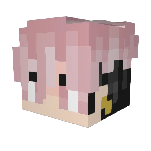 Shugs505 Minecraft avatar head, 3D render