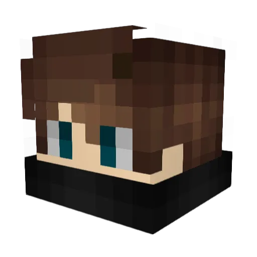 Shui1999 Minecraft avatar head, 3D render