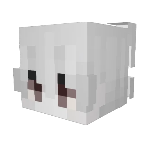Shui_Jing520 Minecraft avatar head, 3D render
