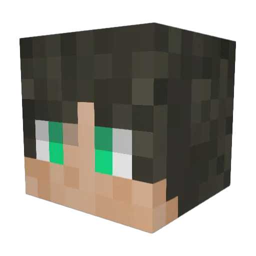 Shuizumi Minecraft avatar head, 3D render
