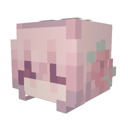 Shukey11 Minecraft avatar head, 3D render