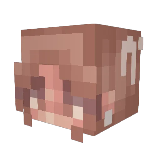 Shuki_Plays Minecraft avatar head, 3D render