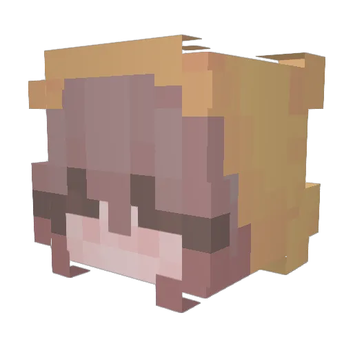 Shukrun69 Minecraft avatar head, 3D render