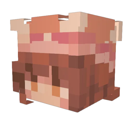 Shulamarino Minecraft avatar head, 3D render