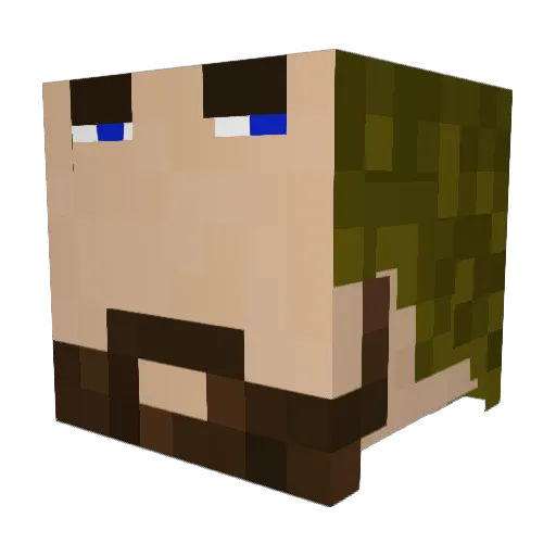 Shulaze Minecraft avatar head, 3D render
