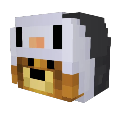 Shuledevat Minecraft avatar head, 3D render