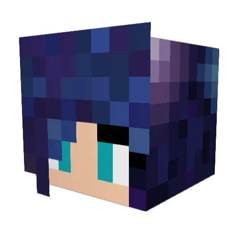 Shulinchan Minecraft avatar head, 3D render