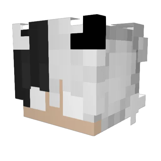 Shulitoo Minecraft avatar head, 3D render