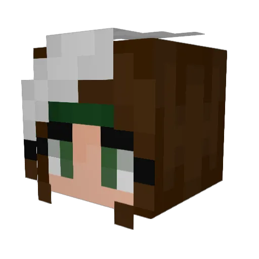 Shulker_ Minecraft avatar head, 3D render