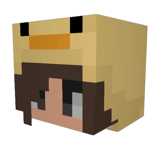 Shulys Minecraft avatar head, 3D render