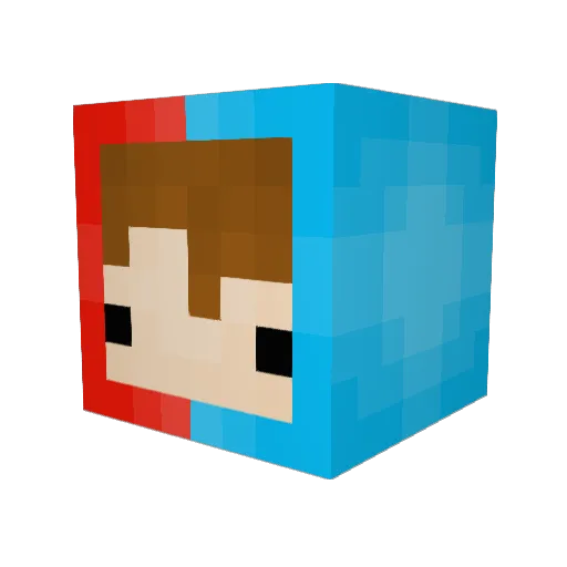 Shuming5599 Minecraft avatar head, 3D render