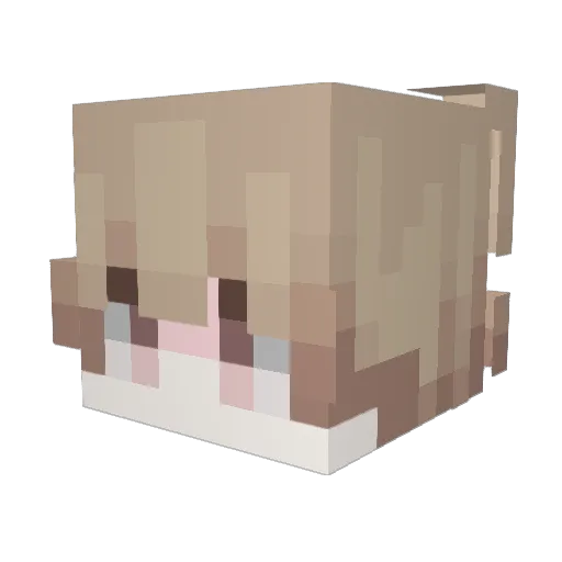 Shun202202 Minecraft avatar head, 3D render