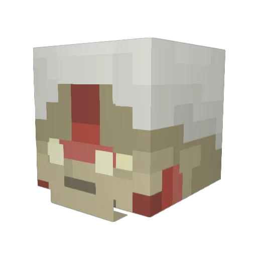 Shun29250 Minecraft avatar head, 3D render