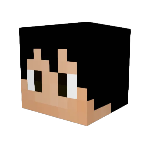 Shun544 Minecraft avatar head, 3D render