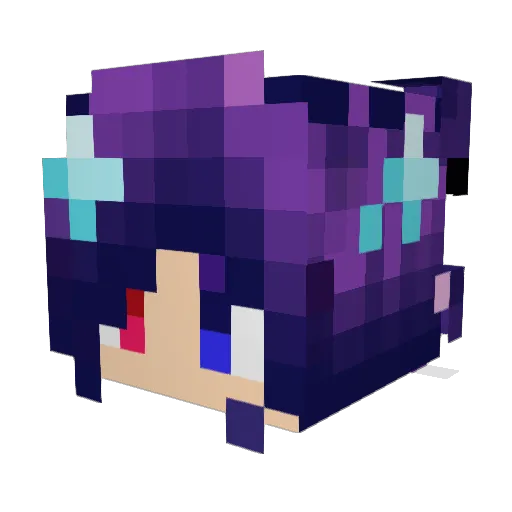 ShunShun91 Minecraft avatar head, 3D render