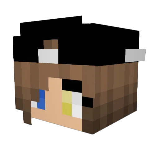 ShunkeDeMaincrah Minecraft avatar head, 3D render