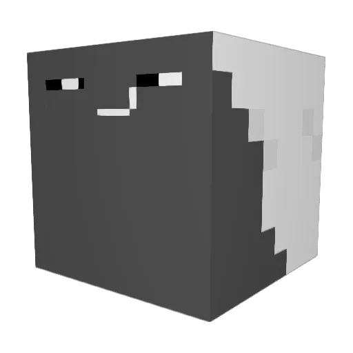 Shunn___ Minecraft avatar head, 3D render