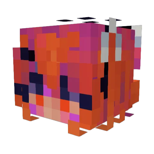 Shunoquiche Minecraft avatar head, 3D render