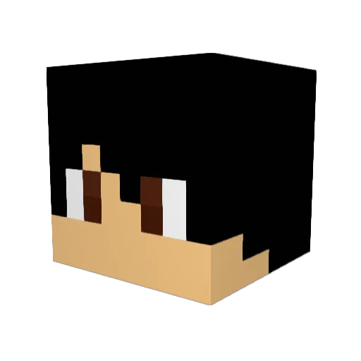 Shunpo19 Minecraft avatar head, 3D render