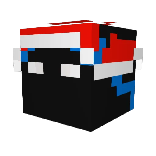 Shunya_2000 Minecraft avatar head, 3D render