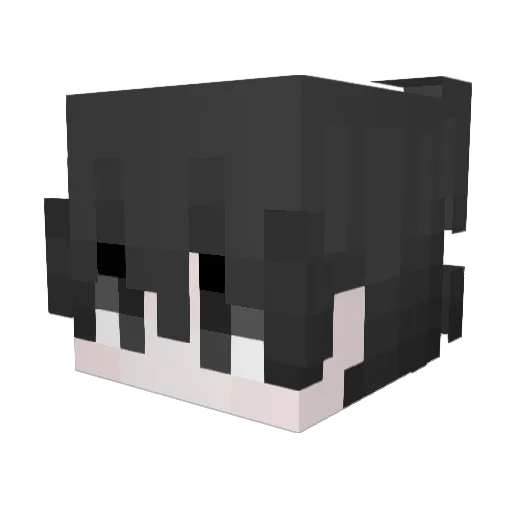 Shureando Minecraft avatar head, 3D render