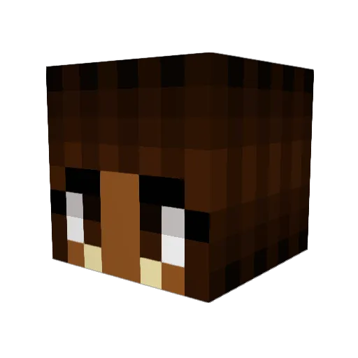 Shuri26 Minecraft avatar head, 3D render