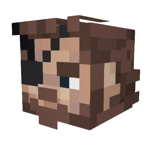 ShurikenMaster2 Minecraft avatar head, 3D render