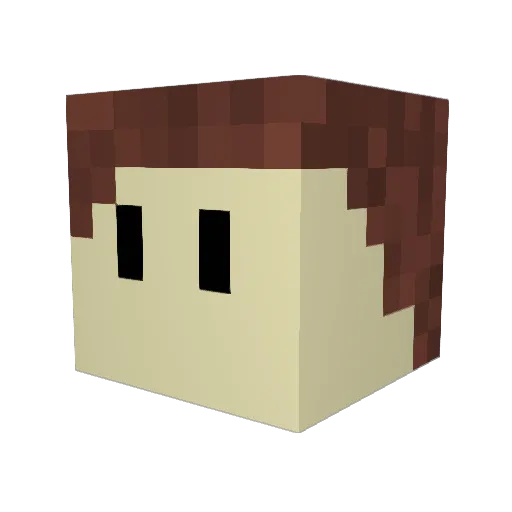 Shuriken_n Minecraft avatar head, 3D render