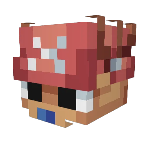 Shurumo Minecraft avatar head, 3D render