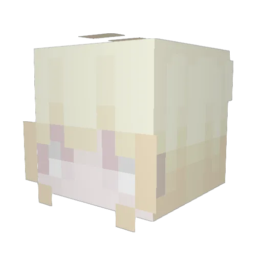ShusInsanity Minecraft avatar head, 3D render
