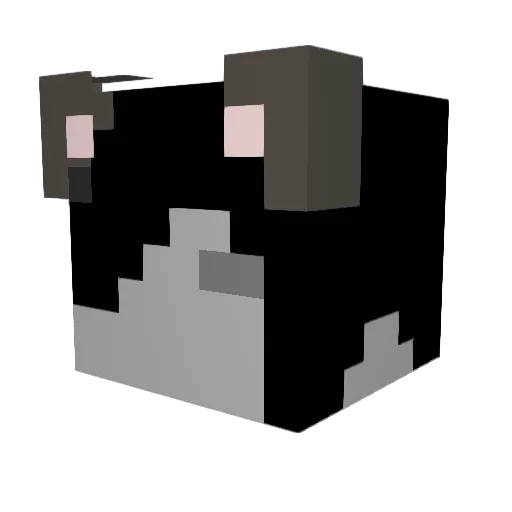 Shush7878 Minecraft avatar head, 3D render