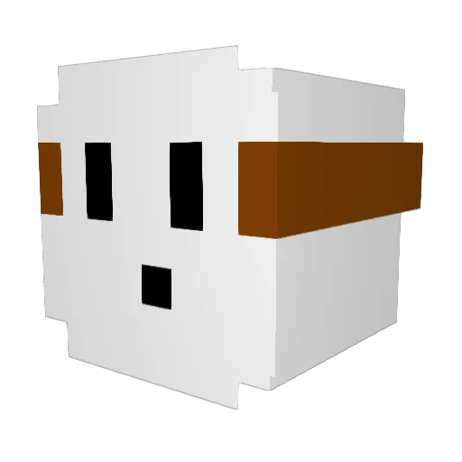 ShushBruv Minecraft avatar head, 3D render
