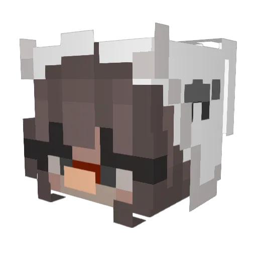 ShushiR0LL Minecraft avatar head, 3D render