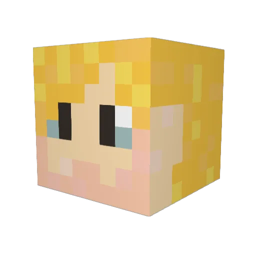 Shushiwashi Minecraft avatar head, 3D render