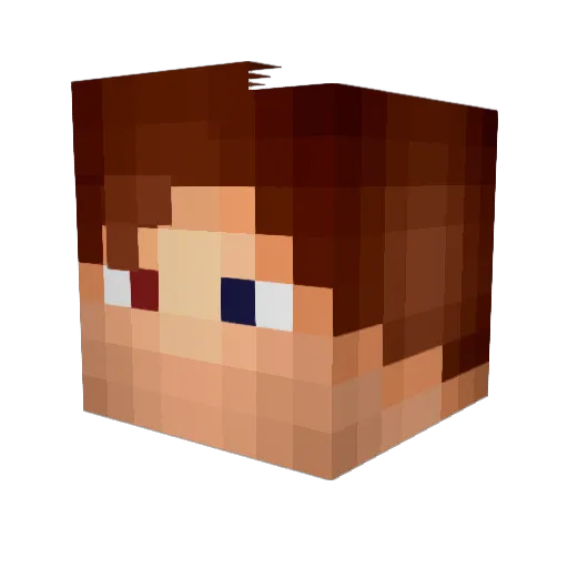 Shuster Minecraft avatar head, 3D render