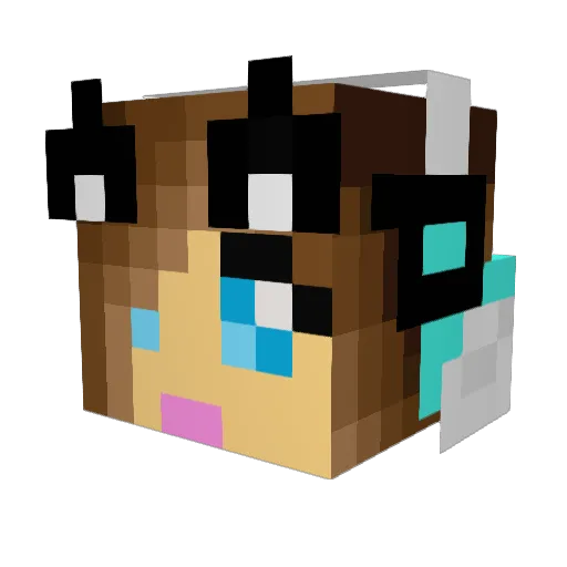 ShutterbugLove Minecraft avatar head, 3D render