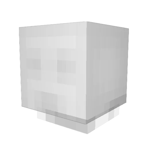Shutupsauce Minecraft avatar head, 3D render