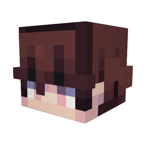 Shuup_ Minecraft avatar head, 3D render