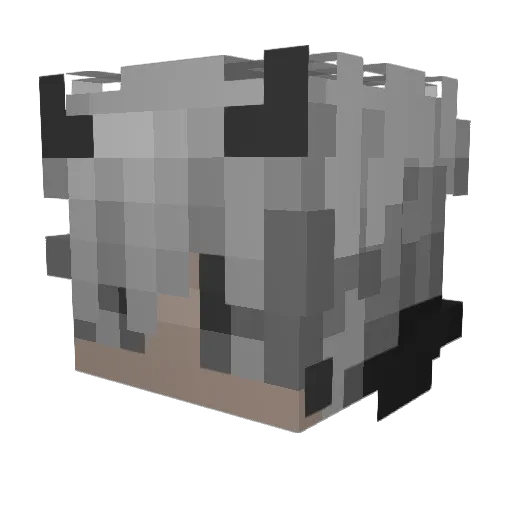 ShuuyaAli Minecraft avatar head, 3D render