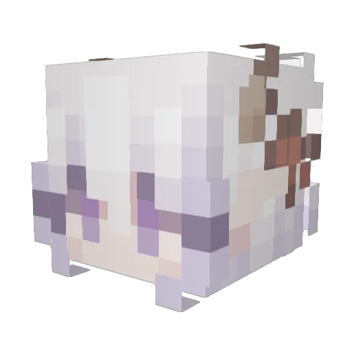 ShuwuKitty Minecraft avatar head, 3D render
