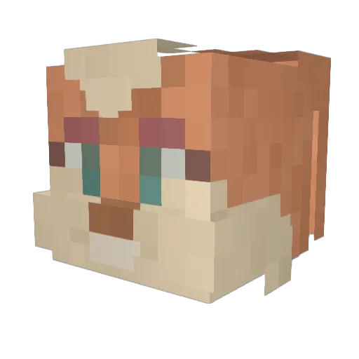 Shvuz Minecraft avatar head, 3D render
