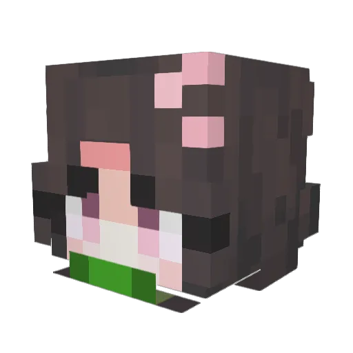 Shwaneiscool Minecraft avatar head, 3D render