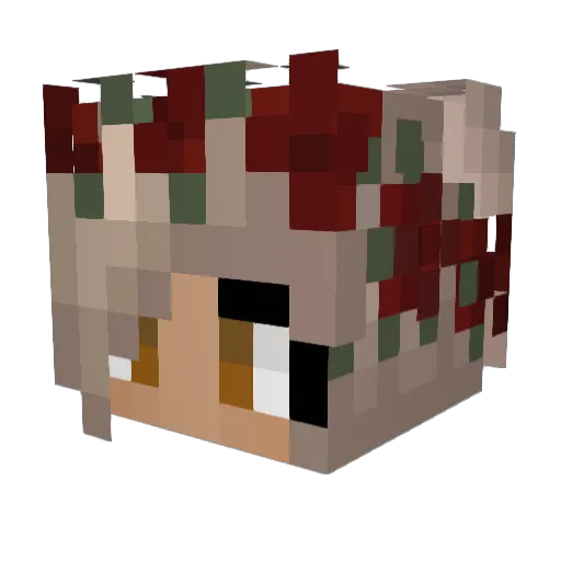 Shwantastic Minecraft avatar head, 3D render