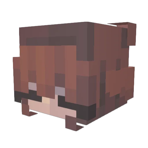 Shwarky Minecraft avatar head, 3D render