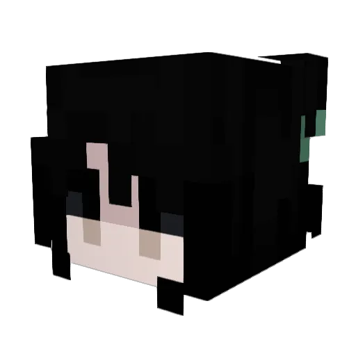 Shwoe Minecraft avatar head, 3D render